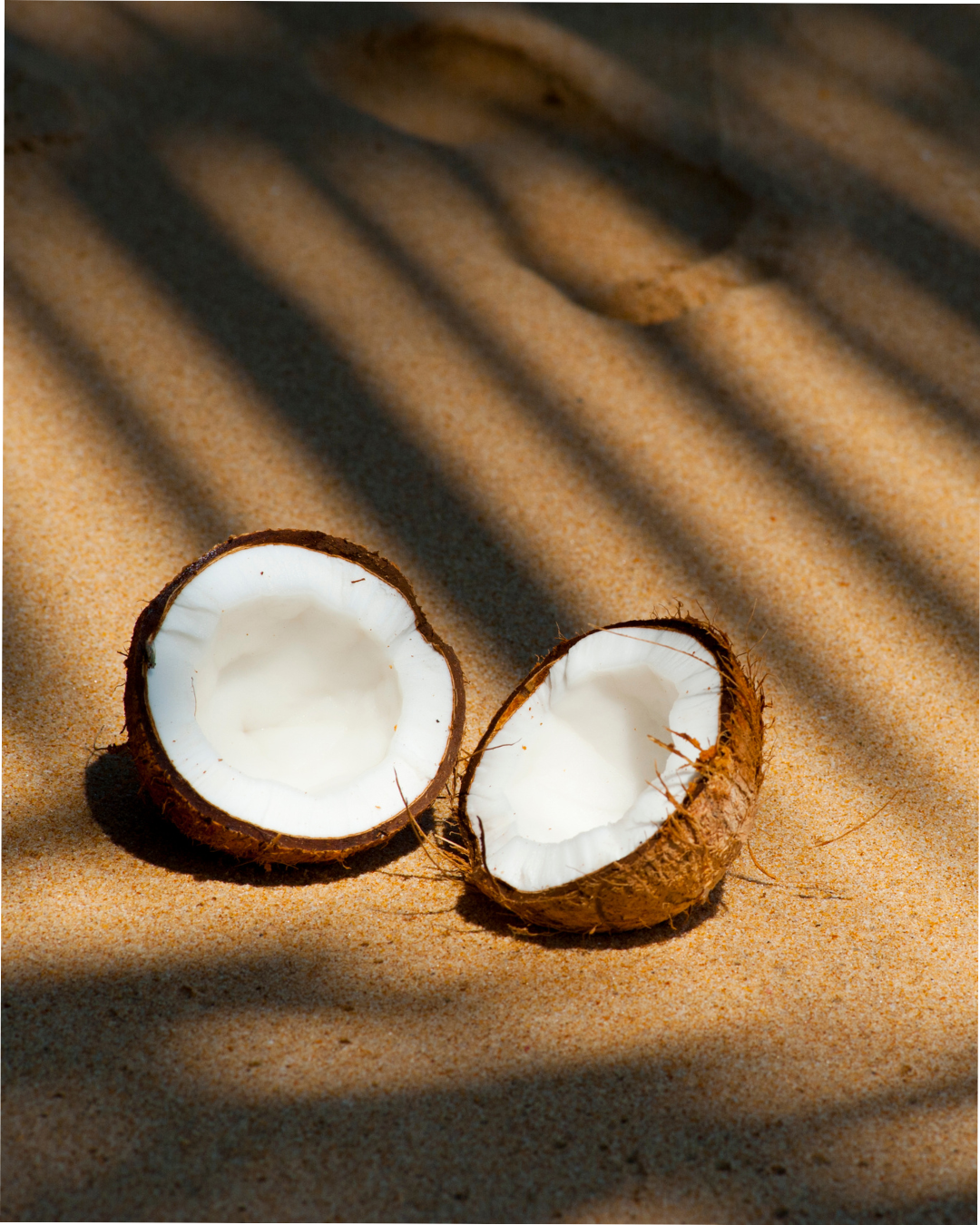 Coconut Glycerin: A Sustainable Choice in REFRESH Gum’s Natural Formula